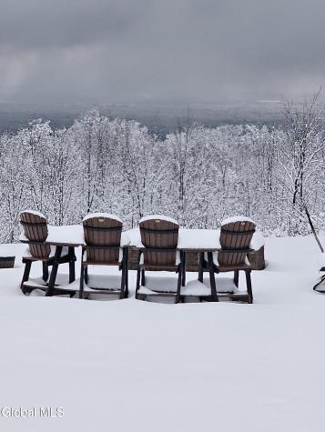 4 Debbie Drive Altamont NY 12009