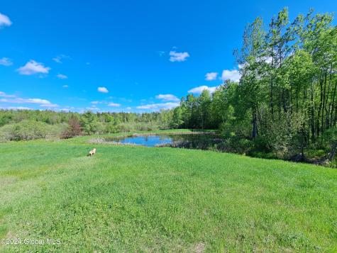 51 Barney Hill Road Bakers Mills NY 12811