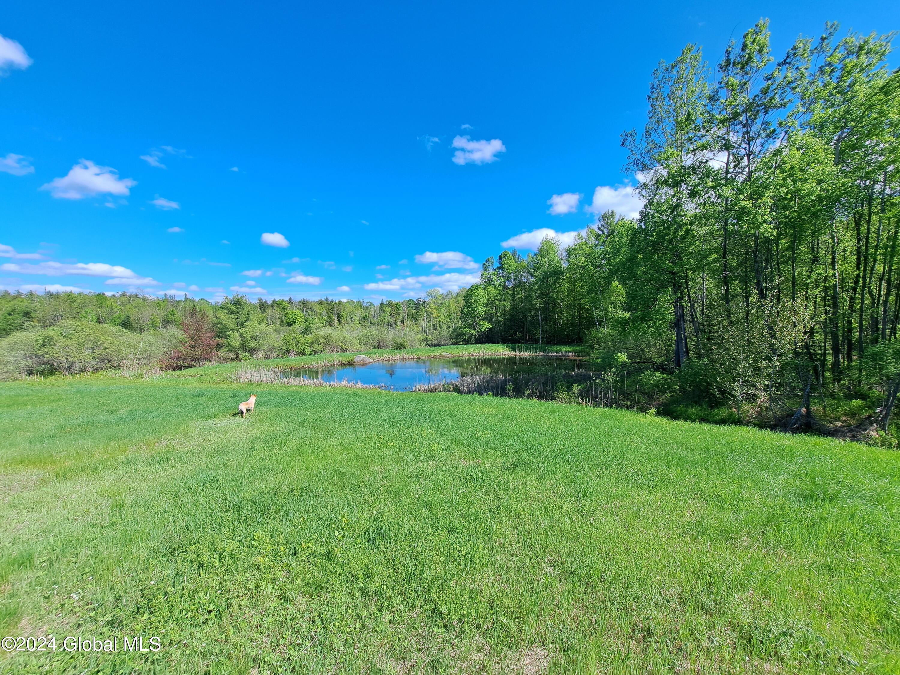 51 Barney Hill Road Bakers Mills NY 12811