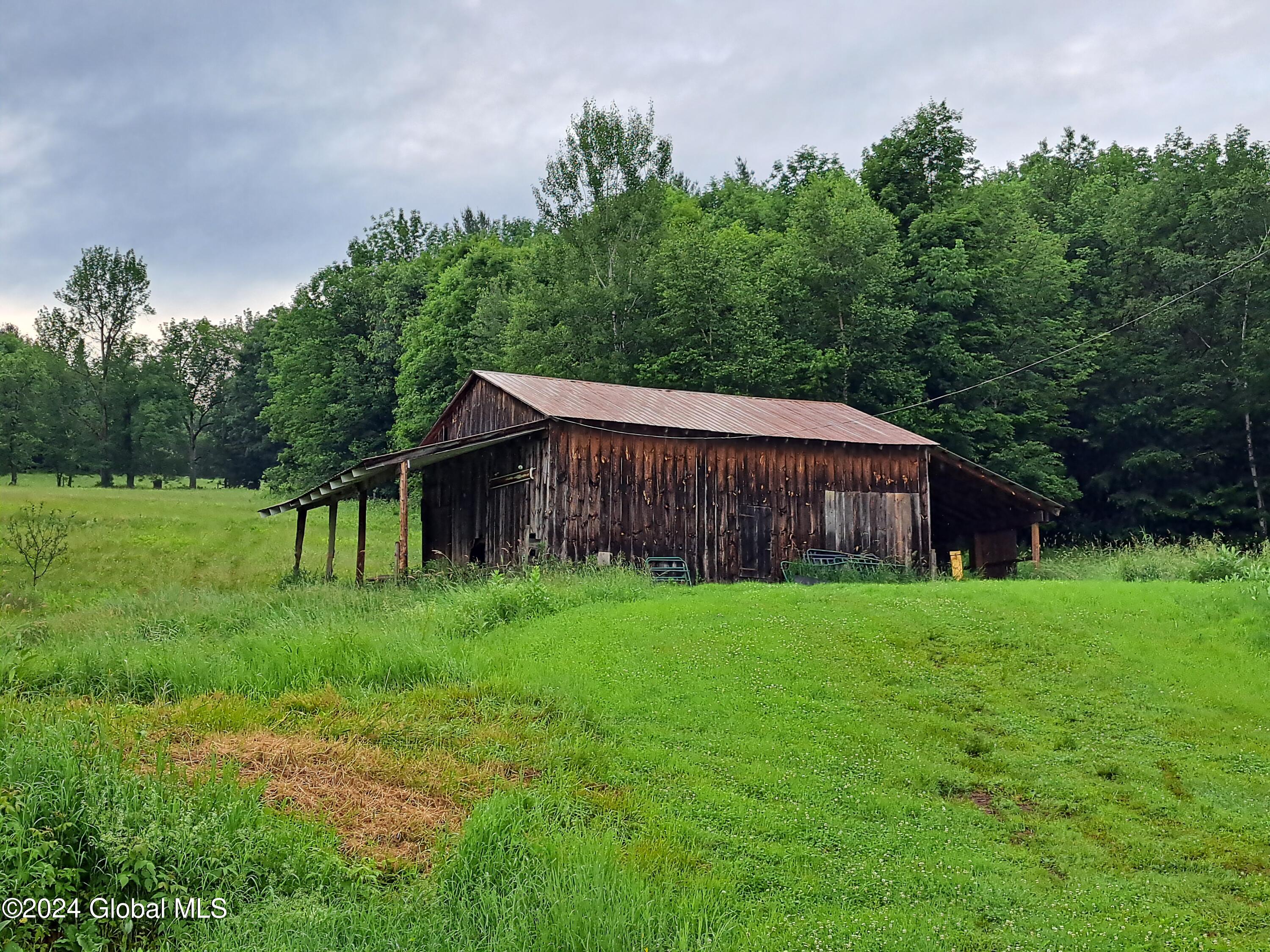 51 Barney Hill Road Bakers Mills NY 12811