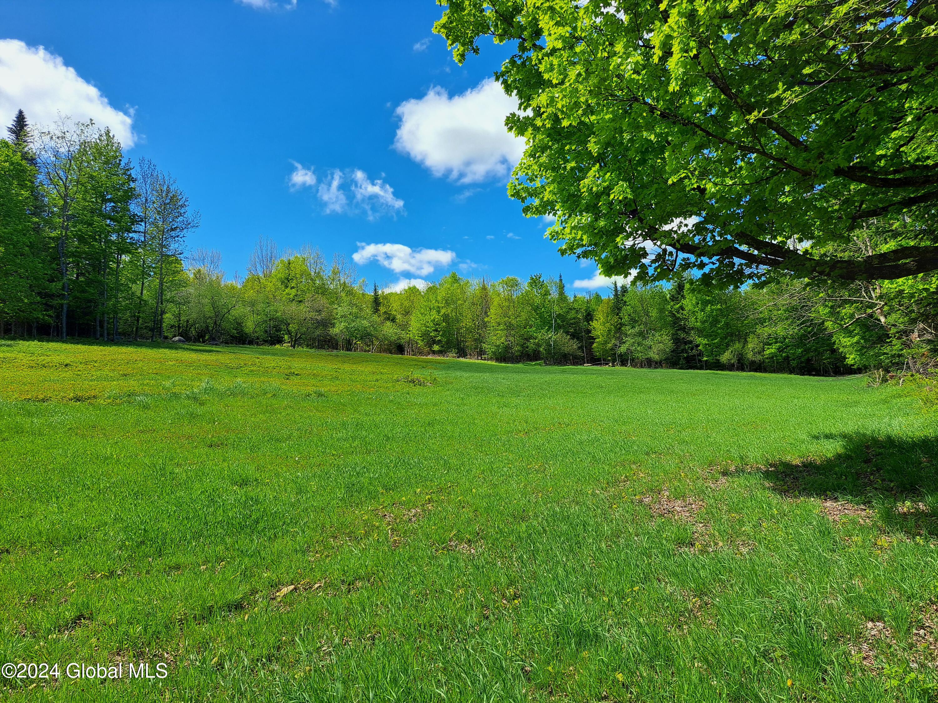 51 Barney Hill Road Bakers Mills NY 12811