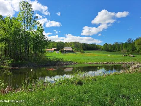 51 Barney Hill Road Bakers Mills NY 12811