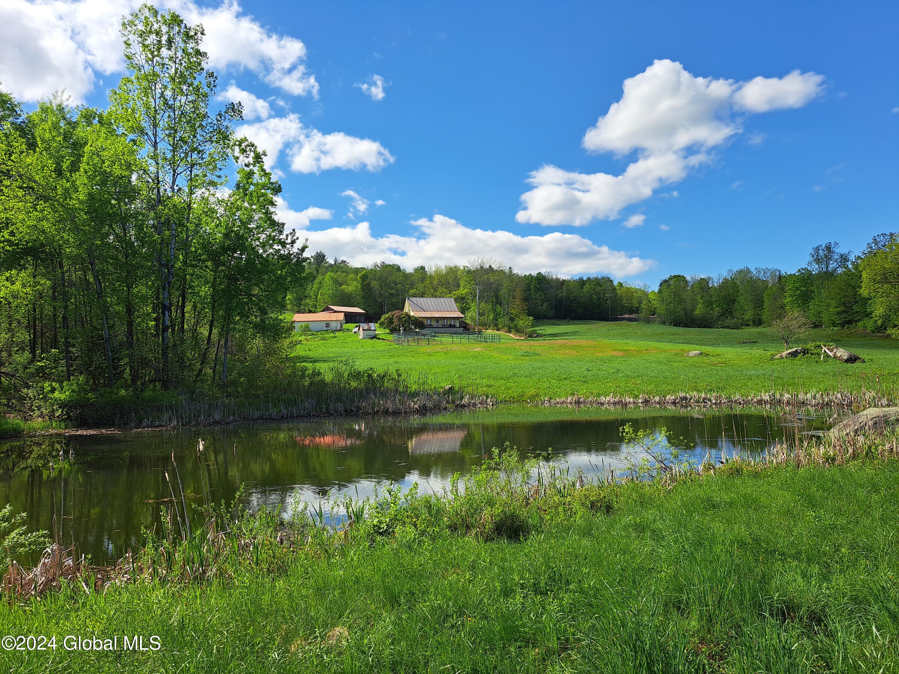 51 Barney Hill Road Bakers Mills NY 12811