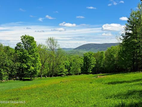 51 Barney Hill Road Bakers Mills NY 12811