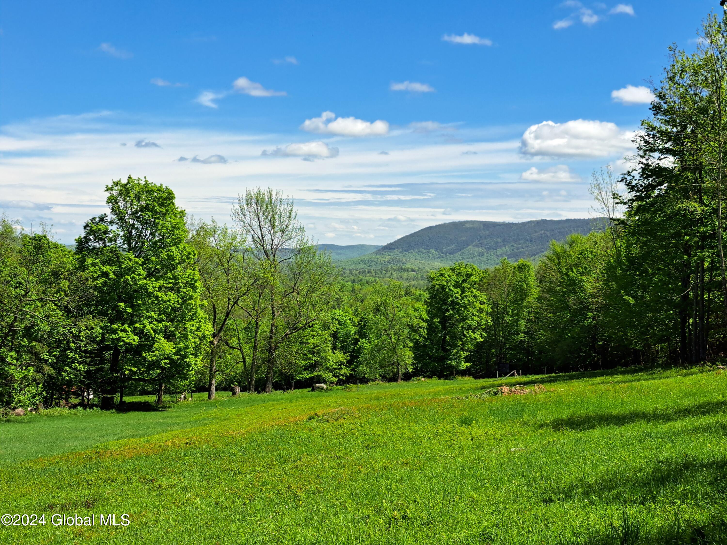 51 Barney Hill Road Bakers Mills NY 12811