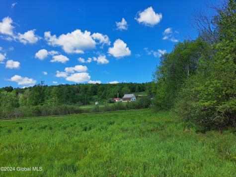 51 Barney Hill Road Bakers Mills NY 12811