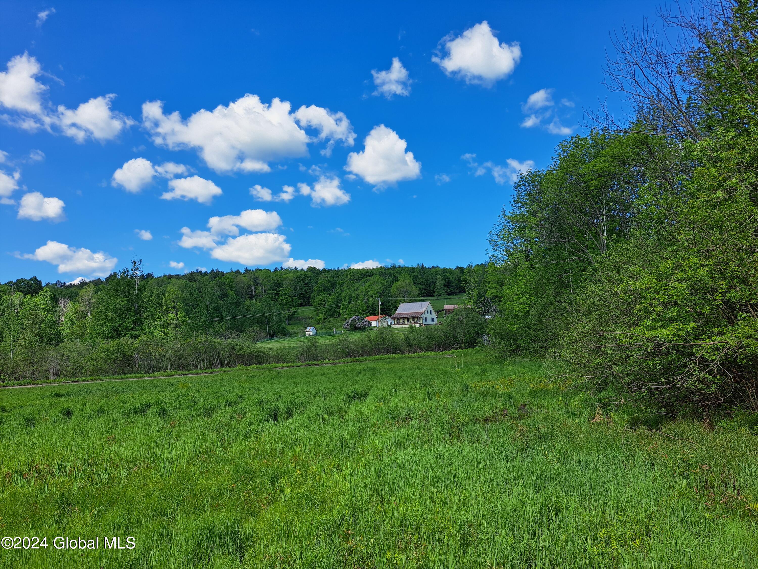 51 Barney Hill Road Bakers Mills NY 12811