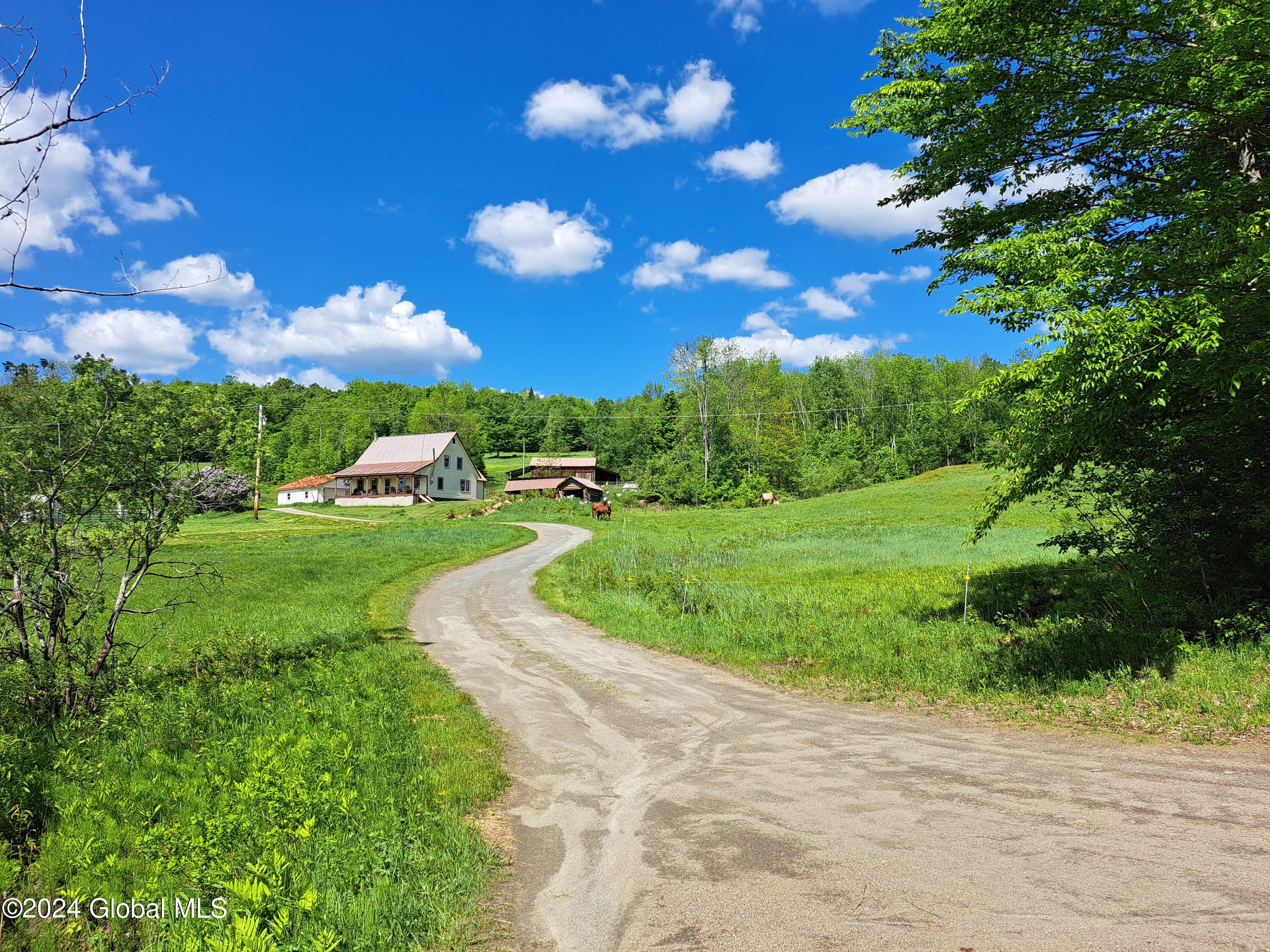 51 Barney Hill Road Bakers Mills NY 12811