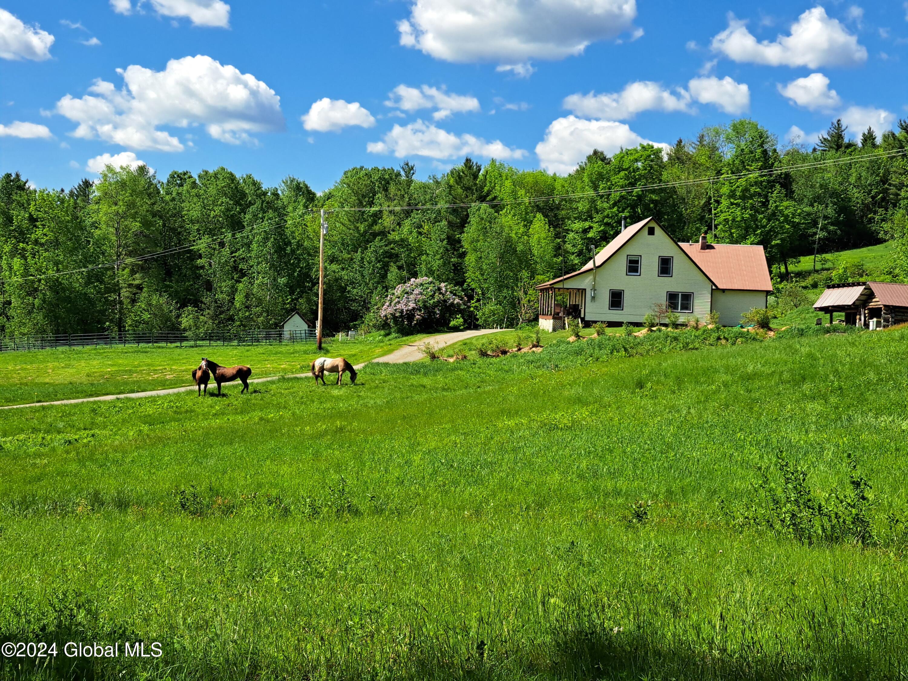 51 Barney Hill Road Bakers Mills NY 12811