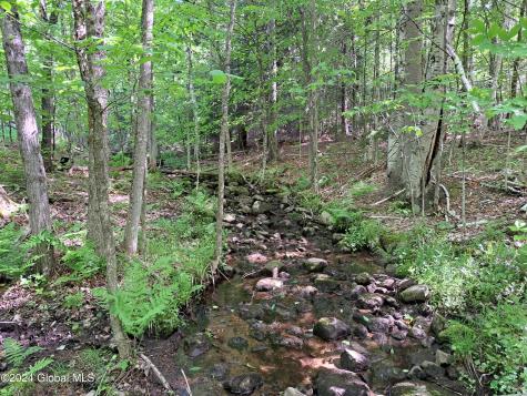 51 Barney Hill Road Bakers Mills NY 12811