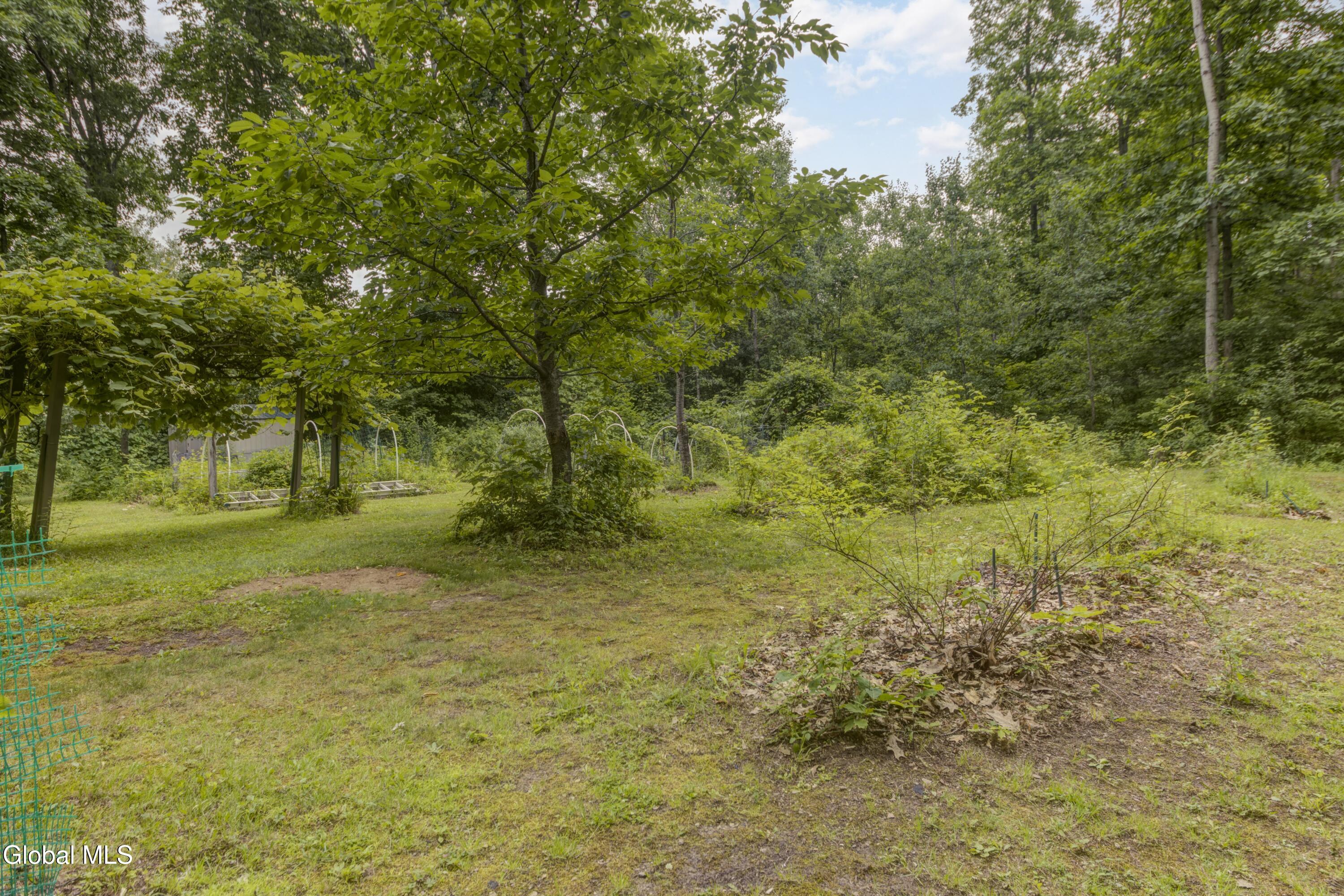 23 Yolanda Drive Burnt Hills NY 12027