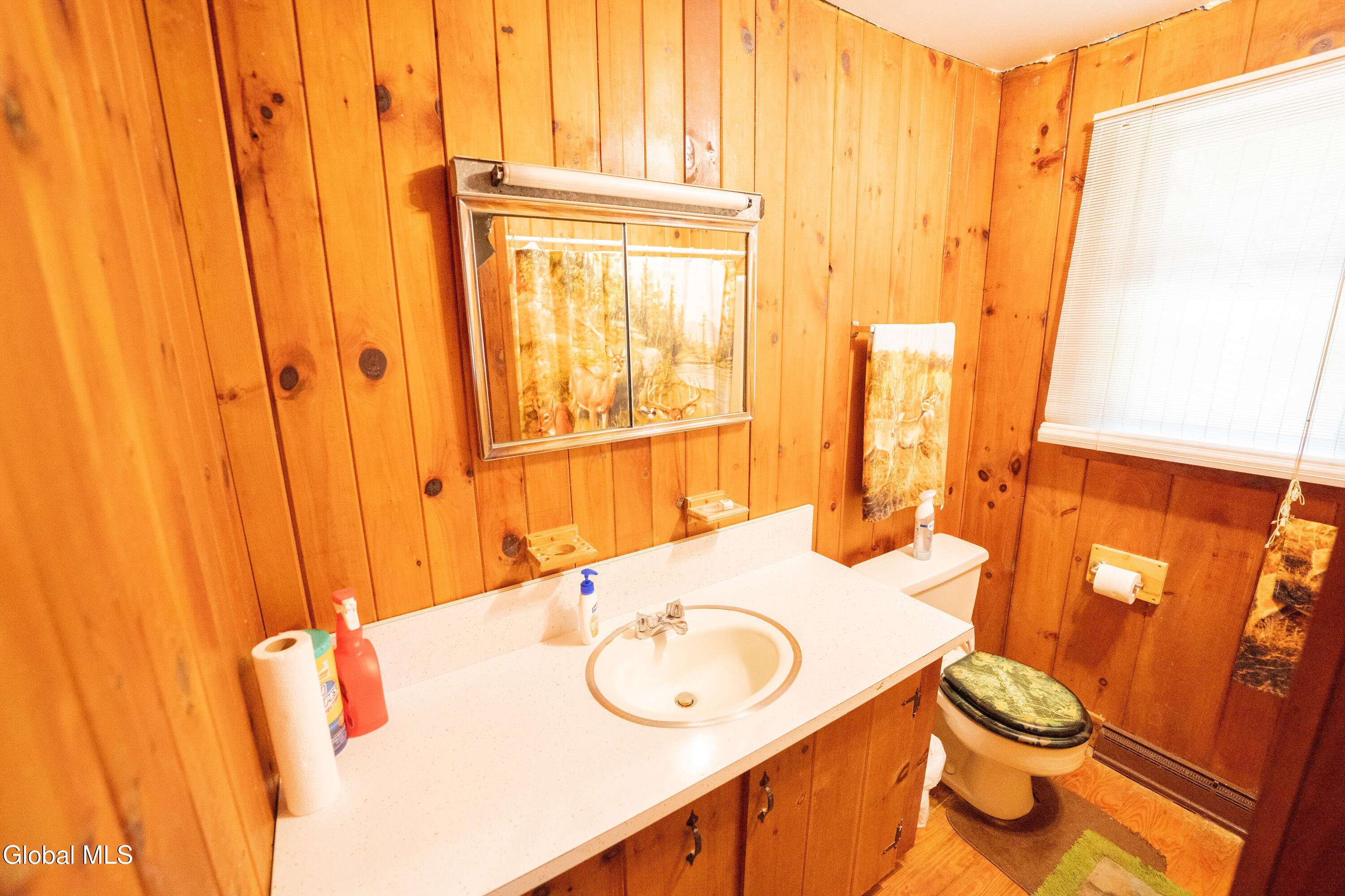 67 Van Auken Road Stony Creek NY 12878