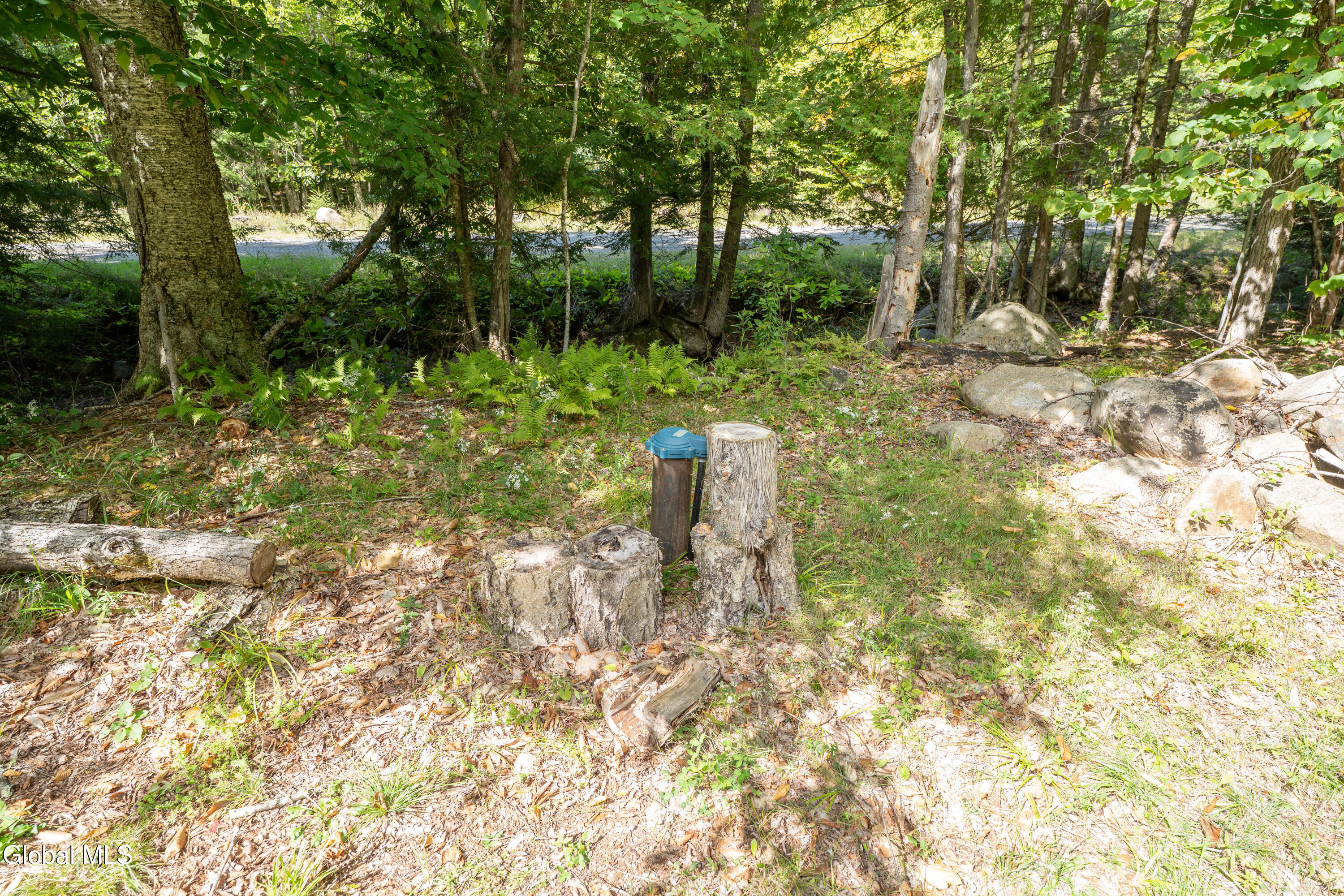 67 Van Auken Road Stony Creek NY 12878