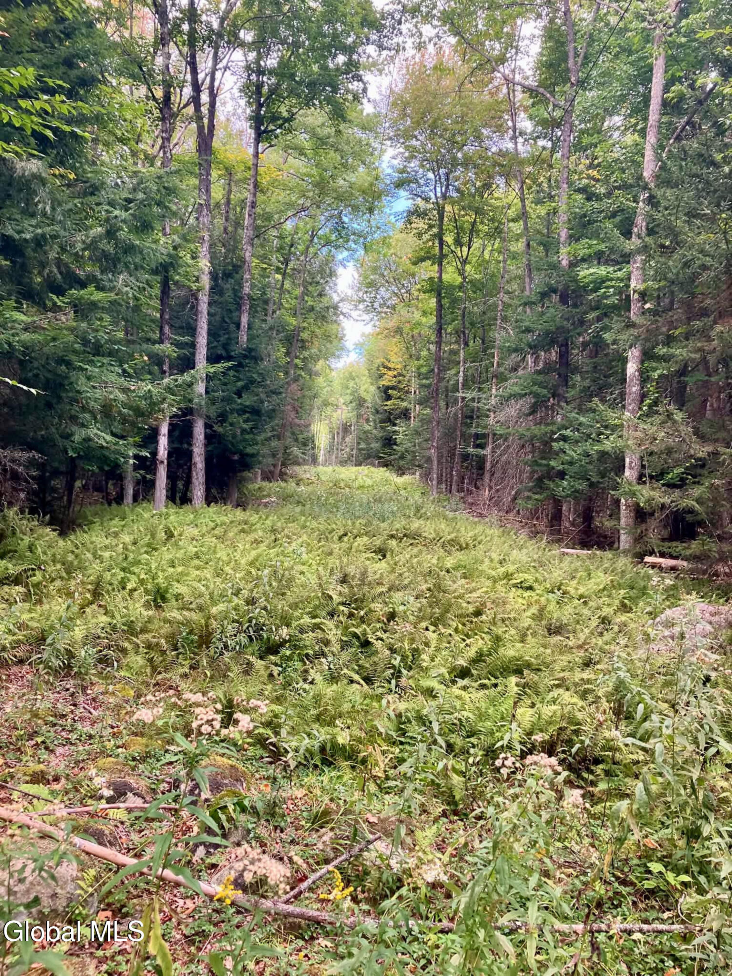 67 Van Auken Road Stony Creek NY 12878