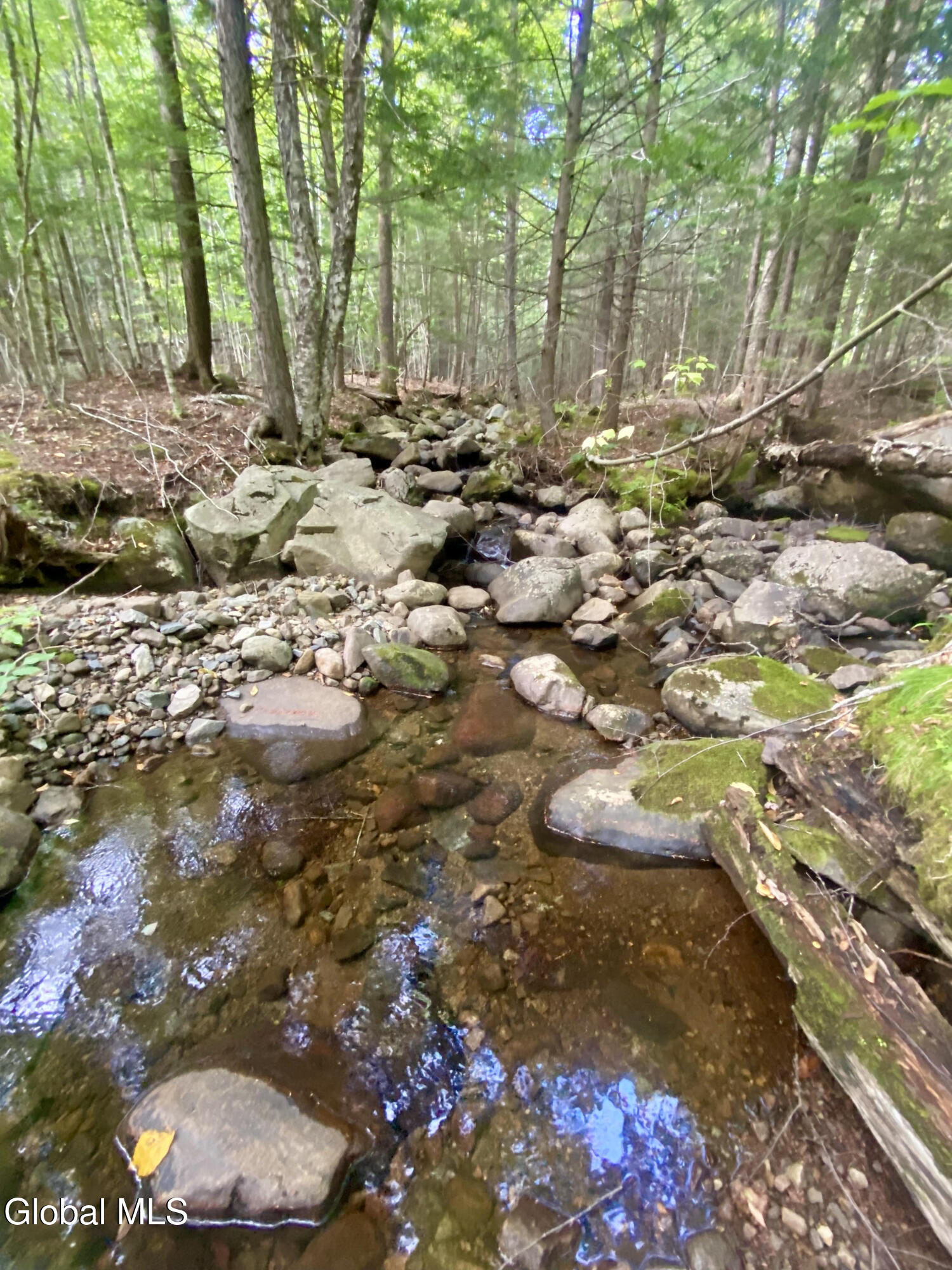 67 Van Auken Road Stony Creek NY 12878