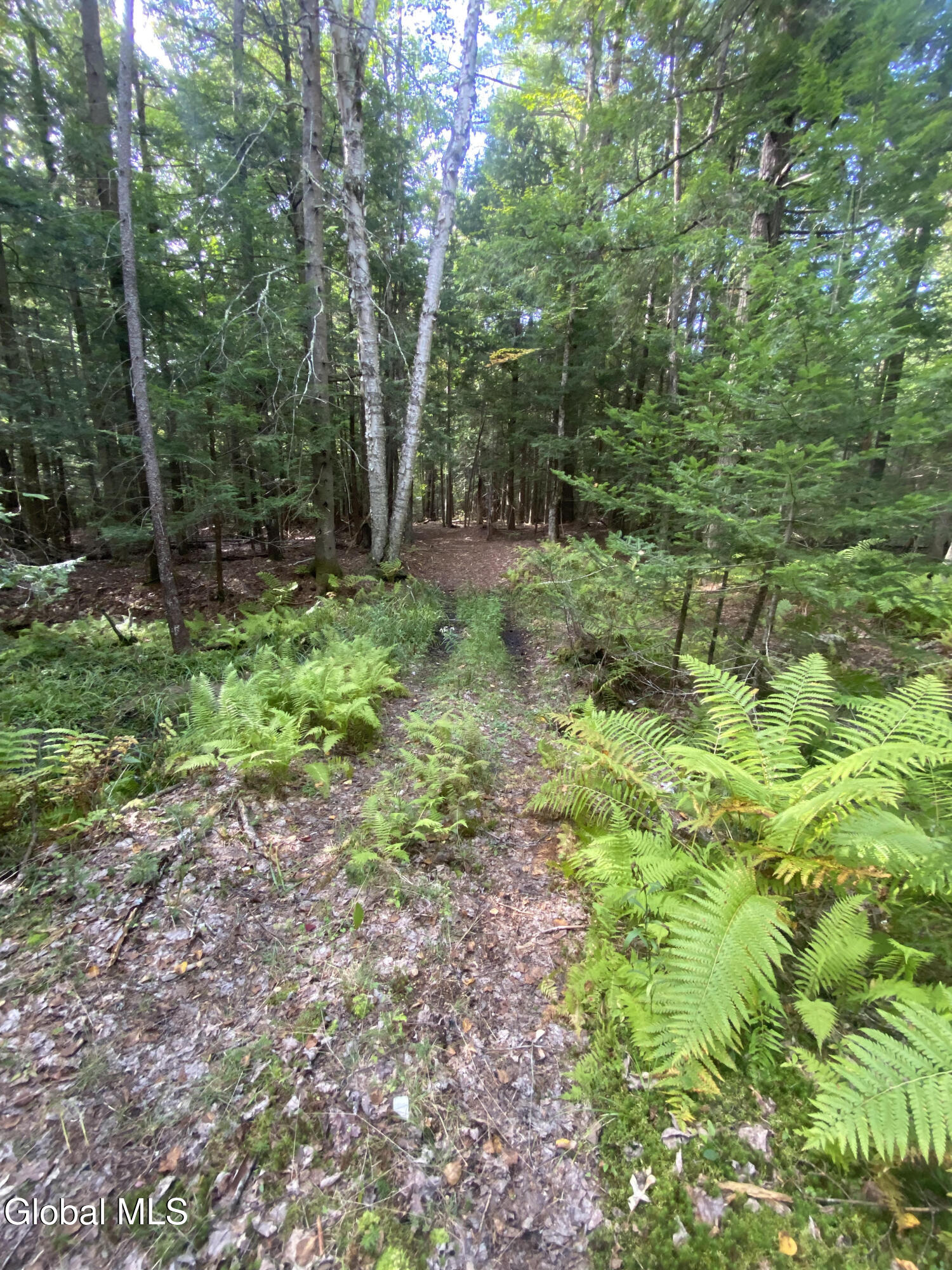 67 Van Auken Road Stony Creek NY 12878