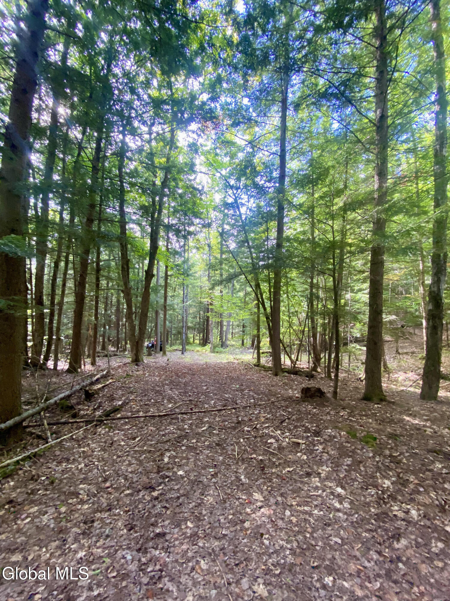 67 Van Auken Road Stony Creek NY 12878