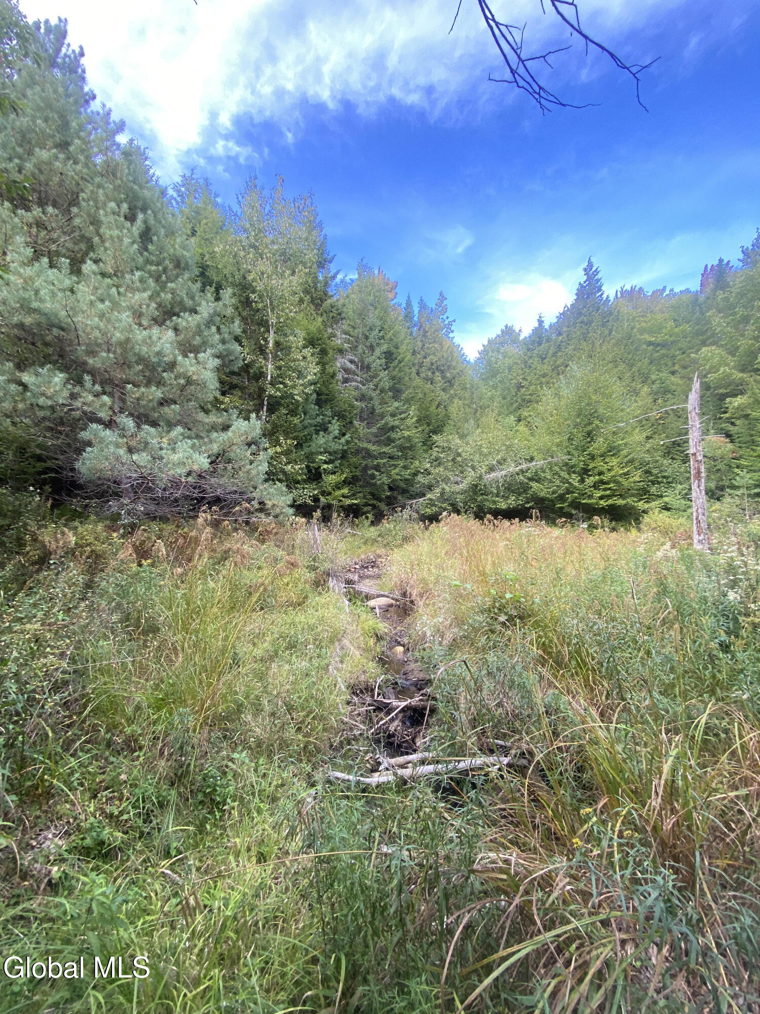 67 Van Auken Road Stony Creek NY 12878