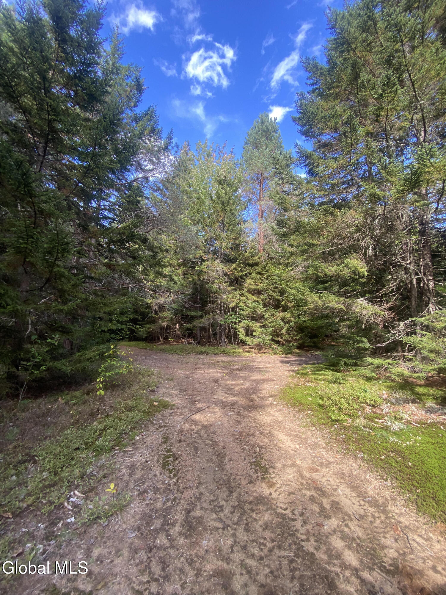 67 Van Auken Road Stony Creek NY 12878