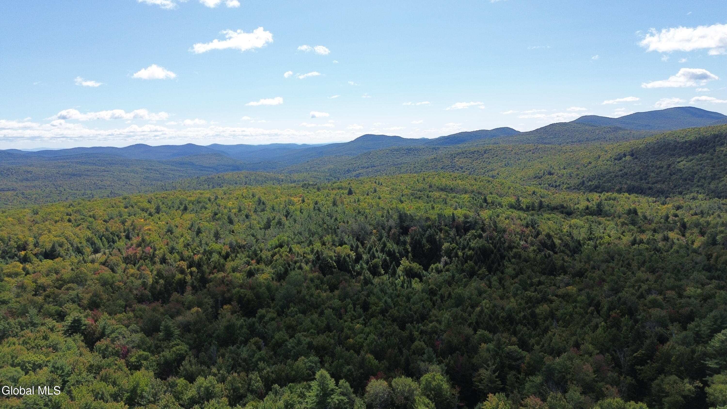 67 Van Auken Road Stony Creek NY 12878