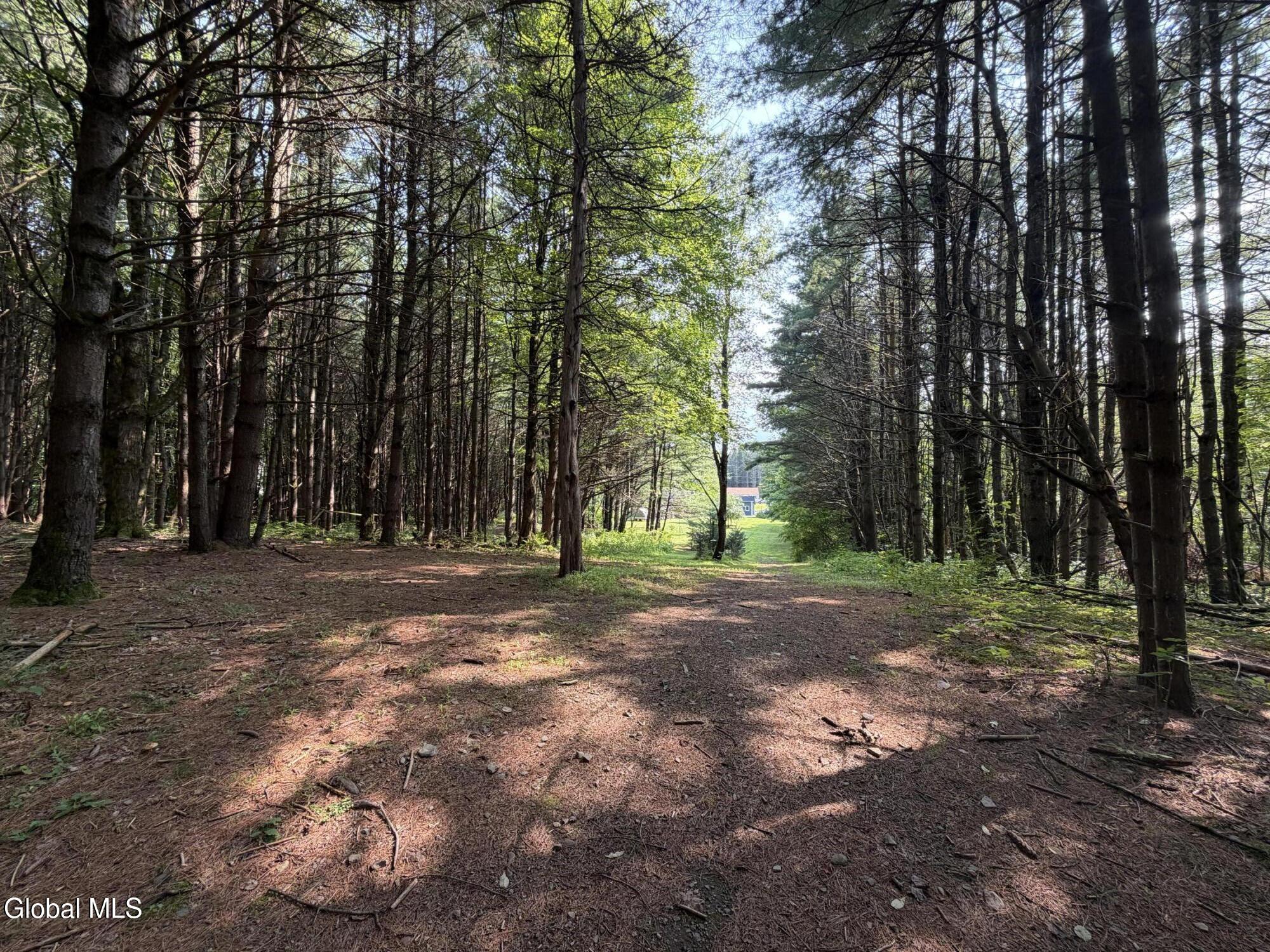 2758 County Route 26 Climax NY 12042