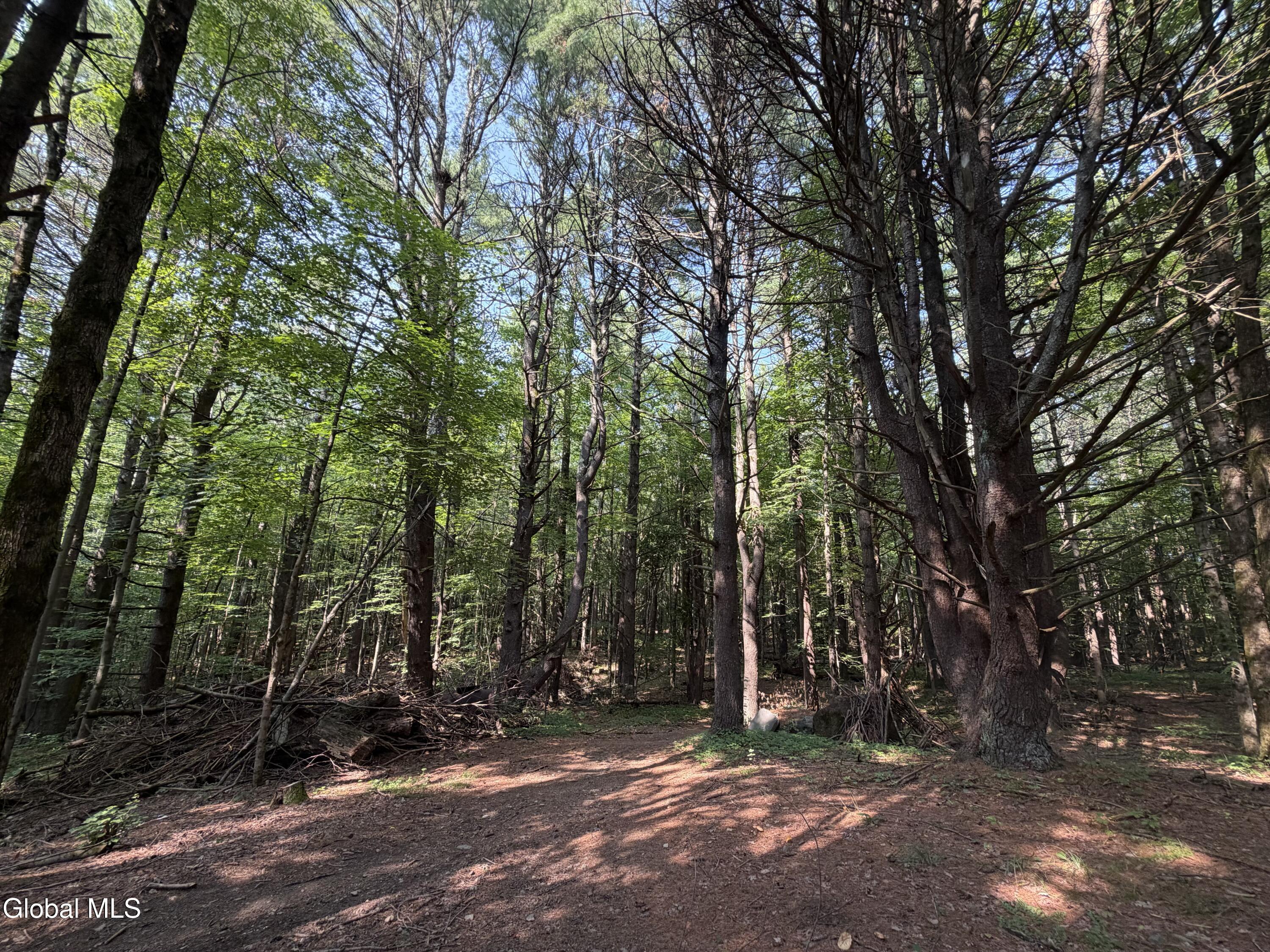 2758 County Route 26 Climax NY 12042