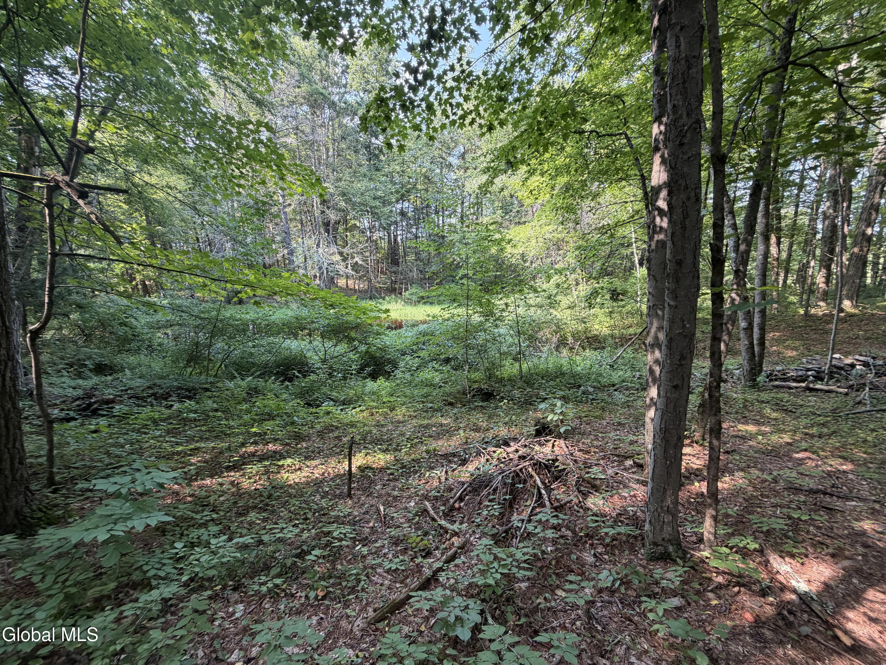 2758 County Route 26 Climax NY 12042