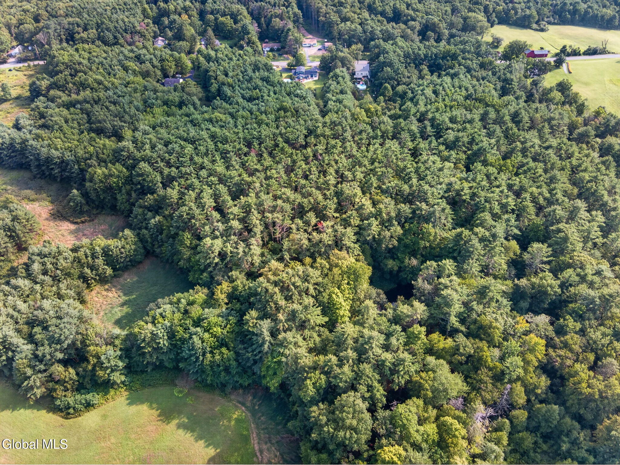 2758 County Route 26 Climax NY 12042