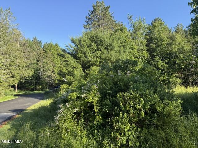 28 Starcrest Drive Rensselaer NY 12153
