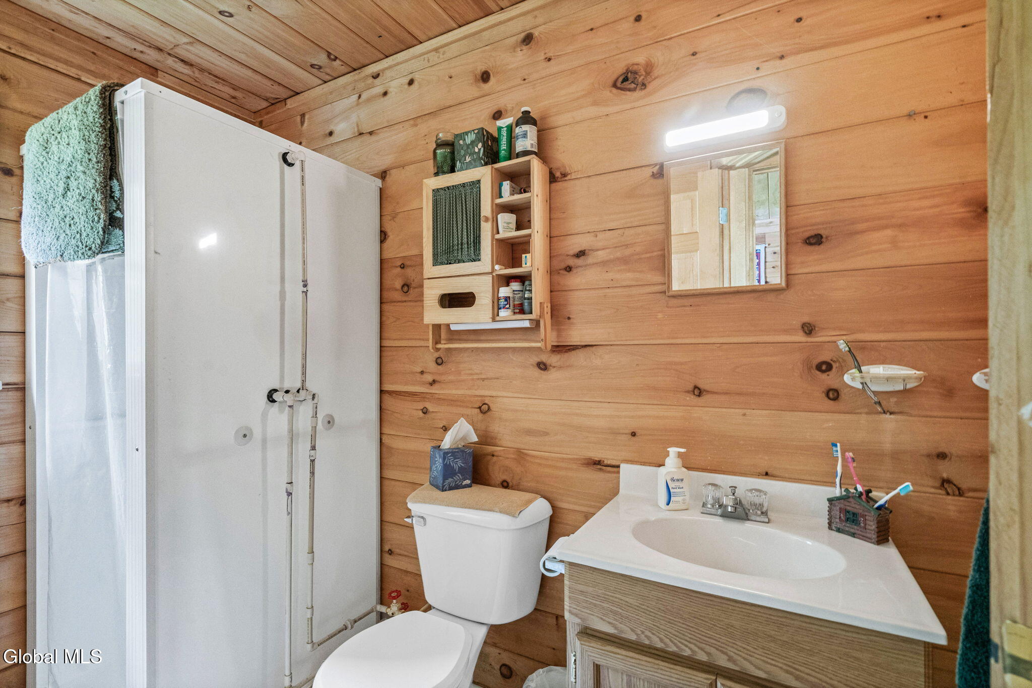 L9 Goat Farm Road Bleecker NY 12078