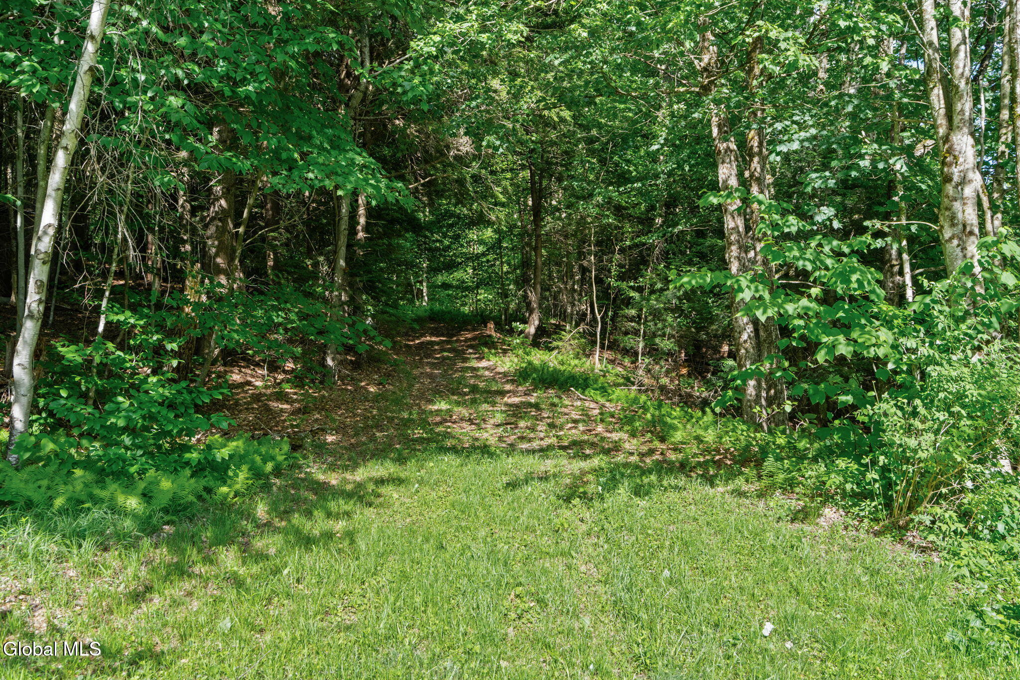 L9 Goat Farm Road Bleecker NY 12078
