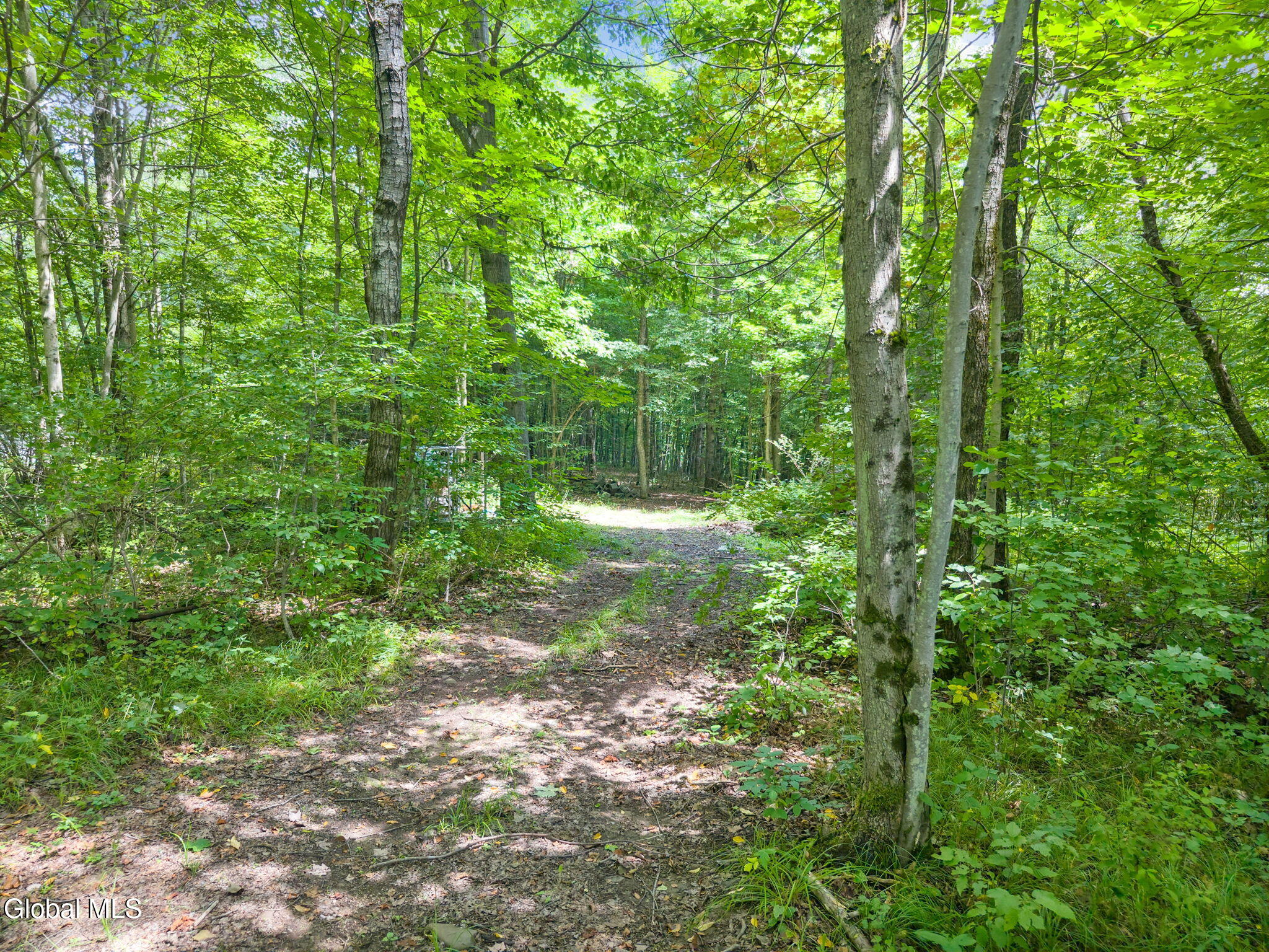 744 County Highway 38 Worcester NY 12197