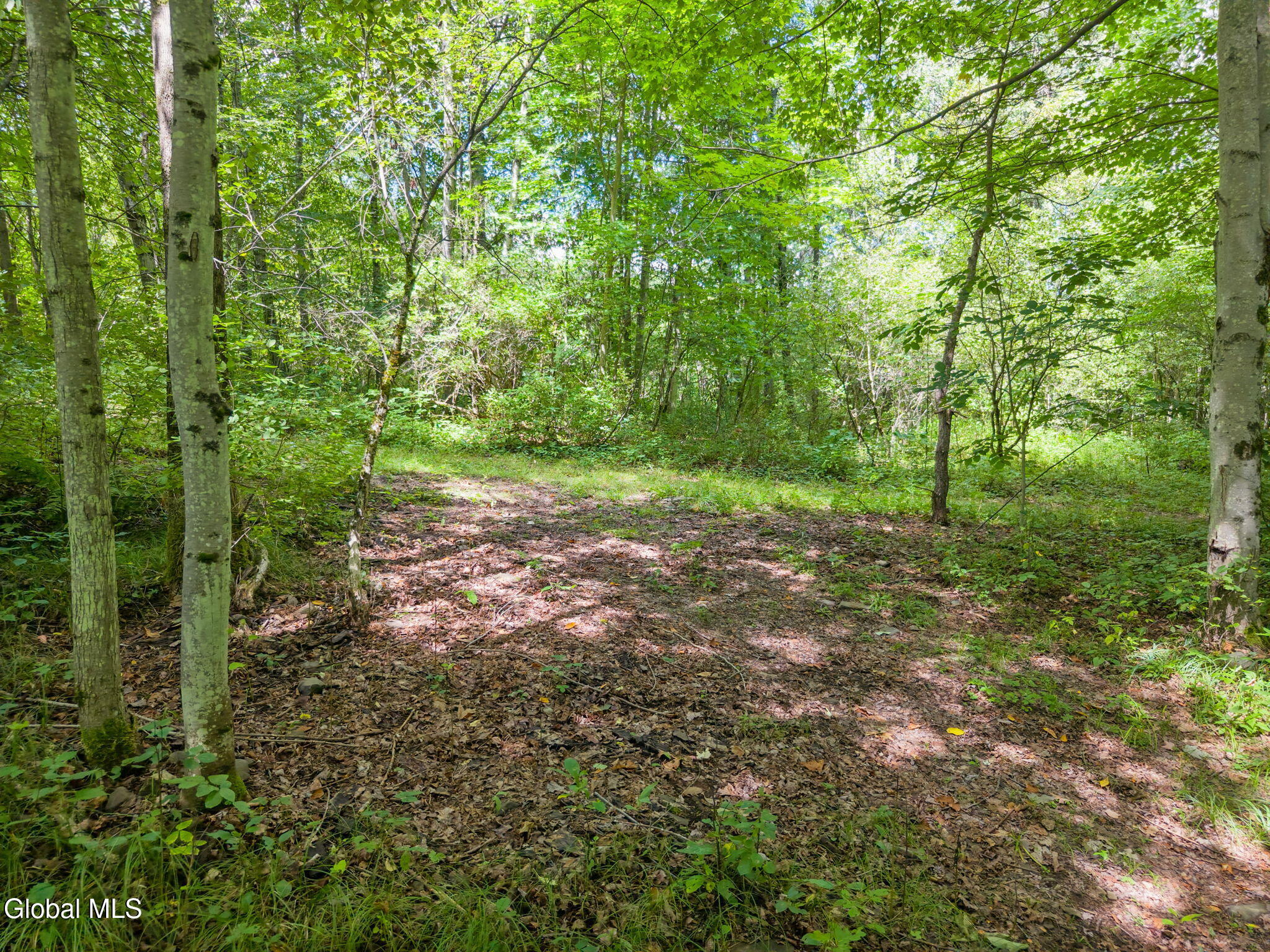 744 County Highway 38 Worcester NY 12197