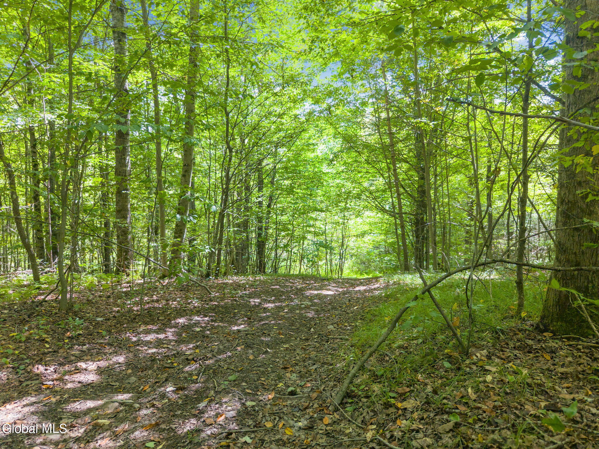 744 County Highway 38 Worcester NY 12197