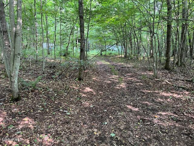 744 County Highway 38 Worcester NY 12197
