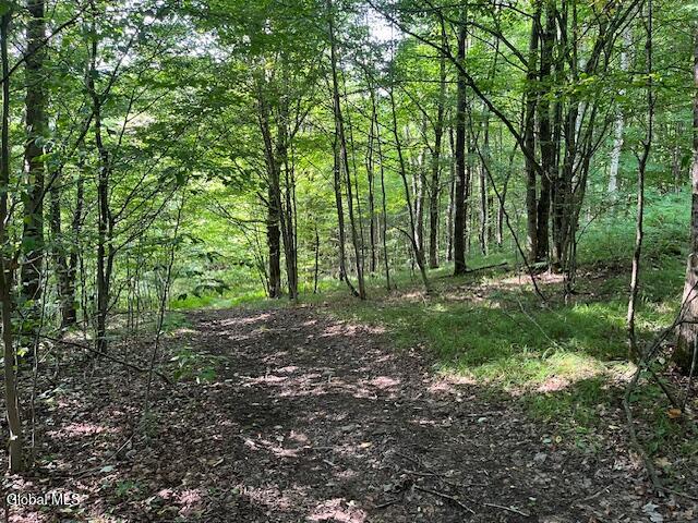 744 County Highway 38 Worcester NY 12197