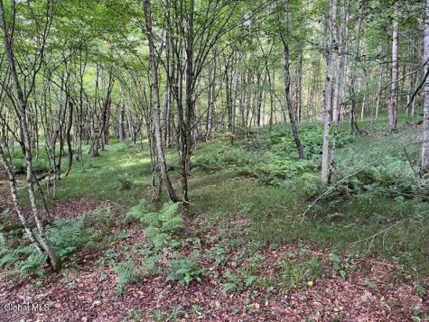 744 County Highway 38 Worcester NY 12197