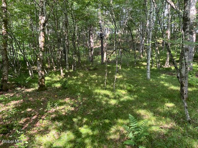 744 County Highway 38 Worcester NY 12197