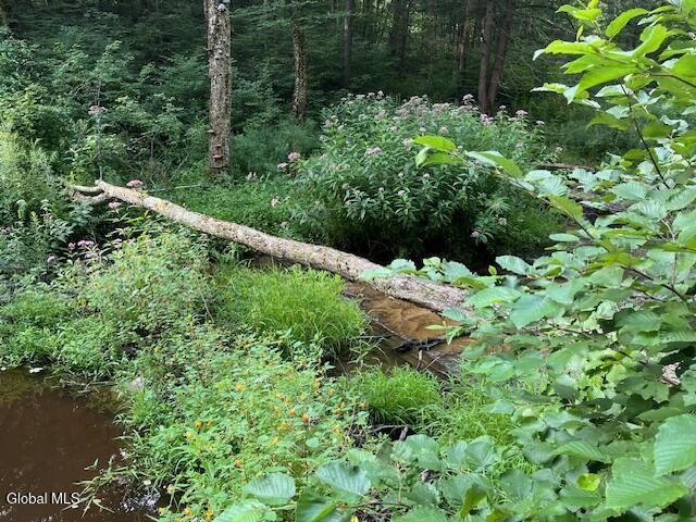 744 County Highway 38 Worcester NY 12197