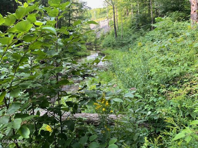 744 County Highway 38 Worcester NY 12197