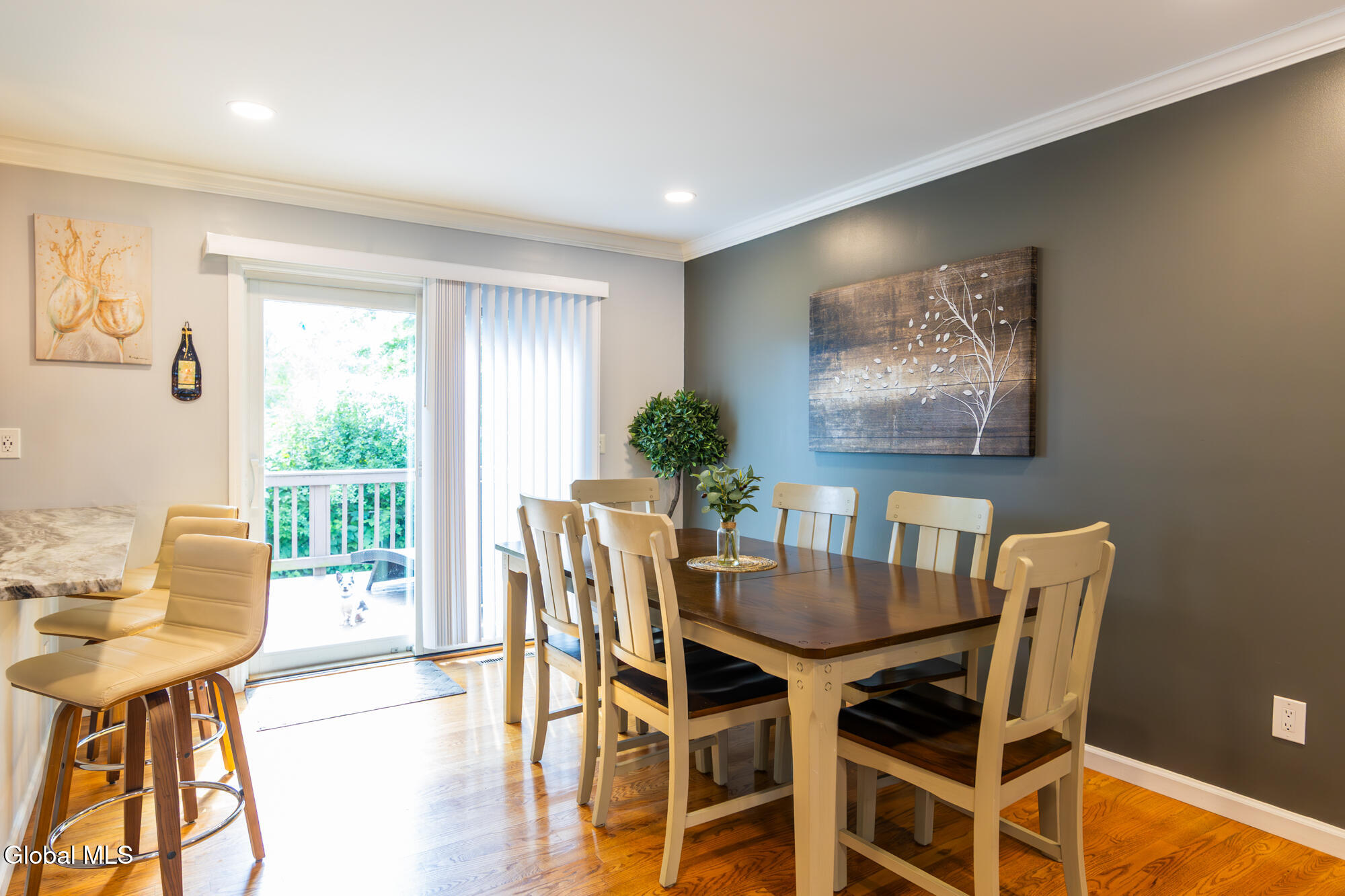 35 Nancy Theresa Terrace Albany NY 12205