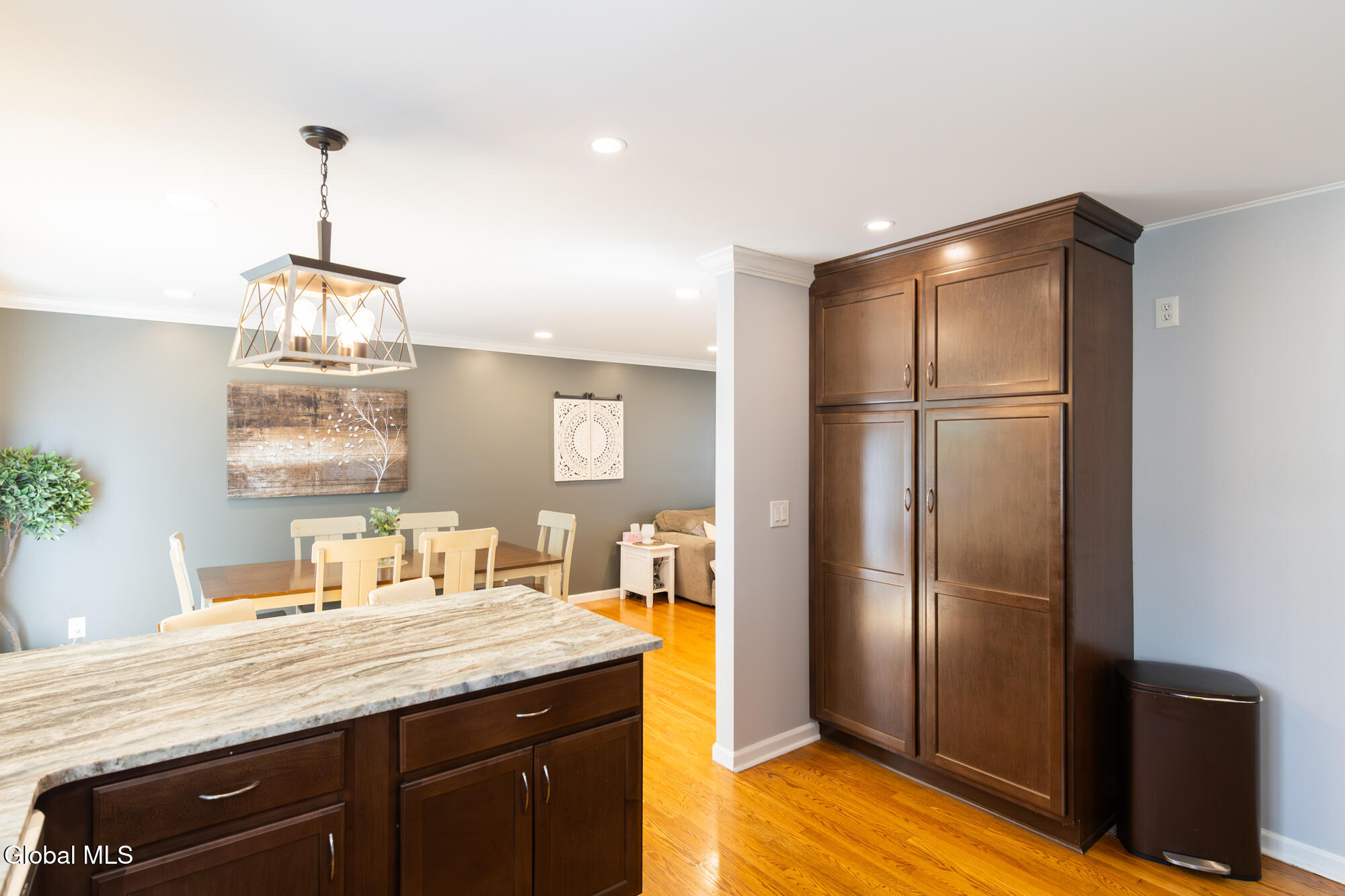 35 Nancy Theresa Terrace Albany NY 12205