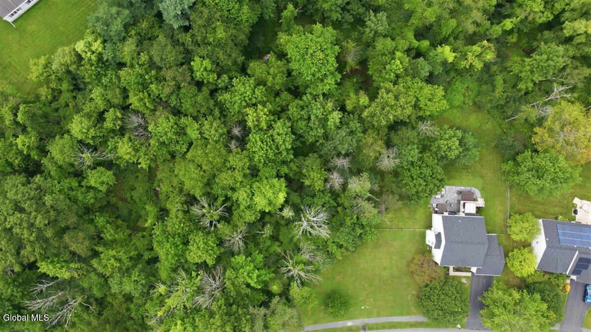 73 Silver Creek Drive Selkirk NY 12158