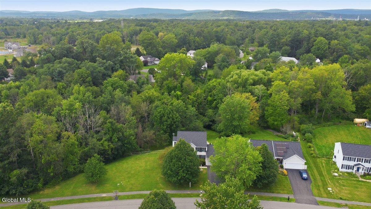 73 Silver Creek Drive Selkirk NY 12158
