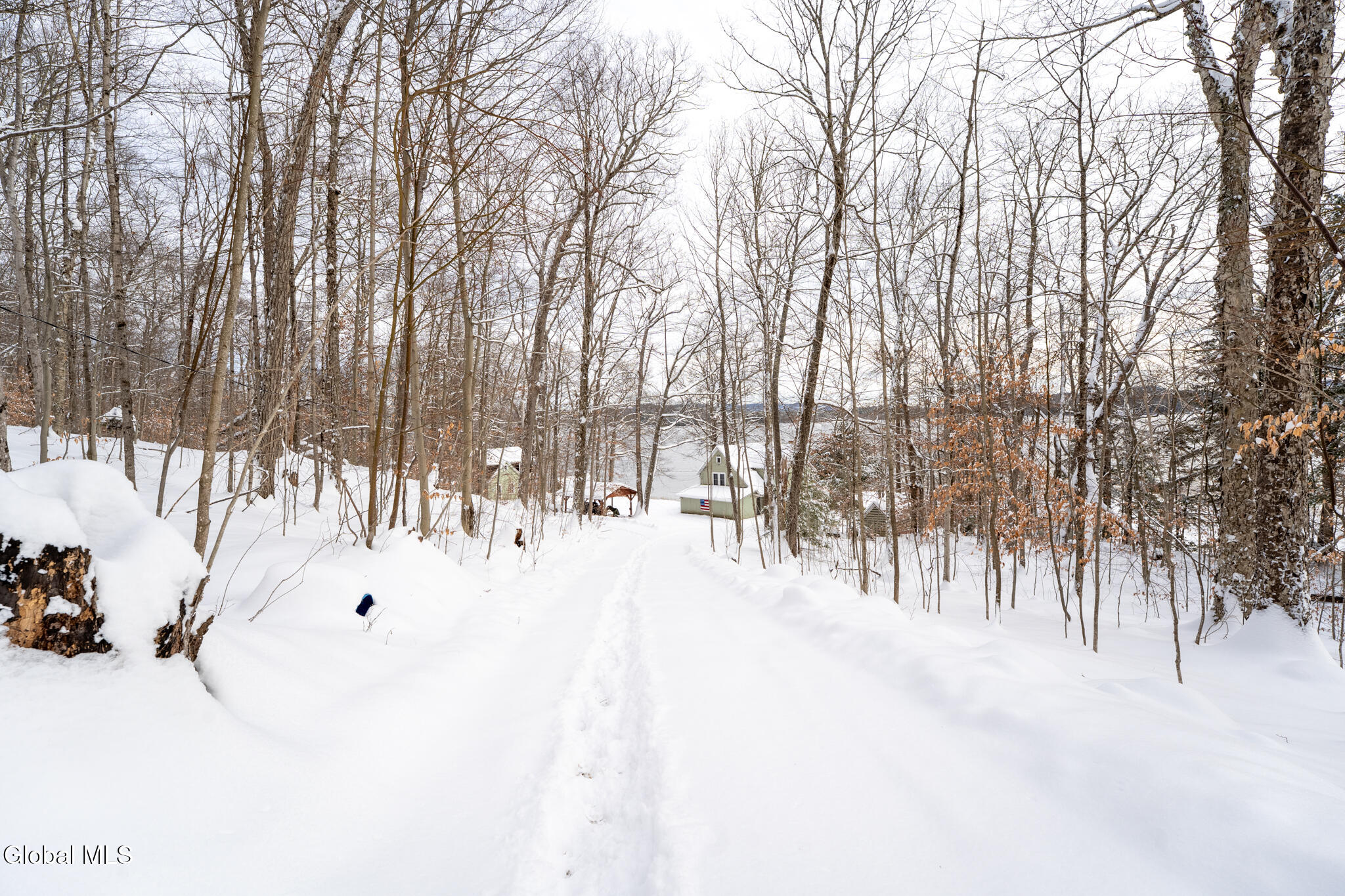 1113 Old Piseco Road Piseco NY 12139