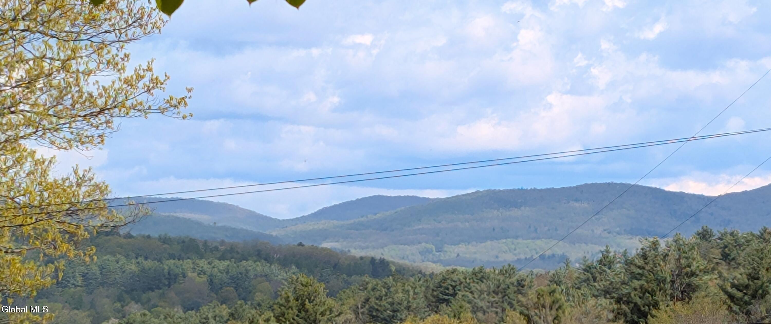 351 Presbyterian Hill Road Stephentown NY 12168