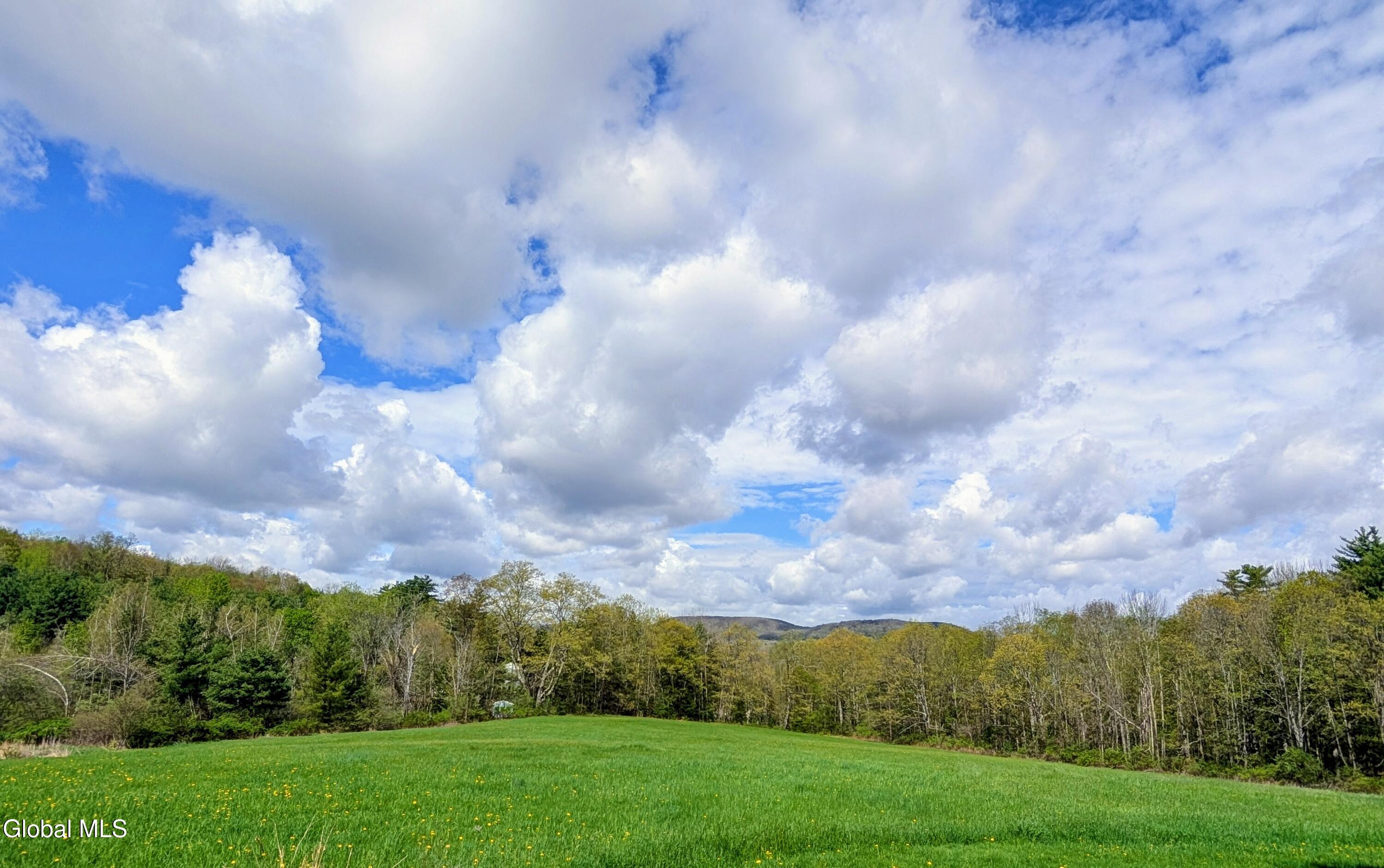 351 Presbyterian Hill Road Stephentown NY 12168