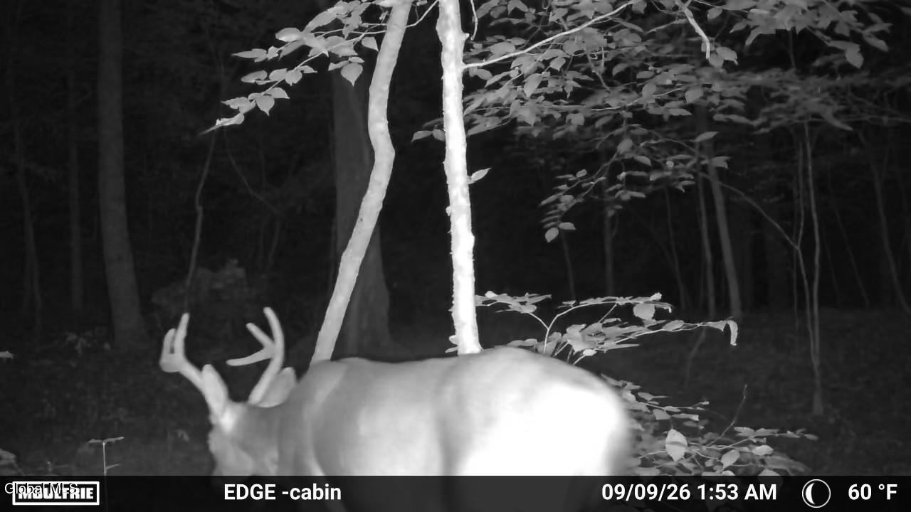1711 County Route 27 Craryville NY 12521