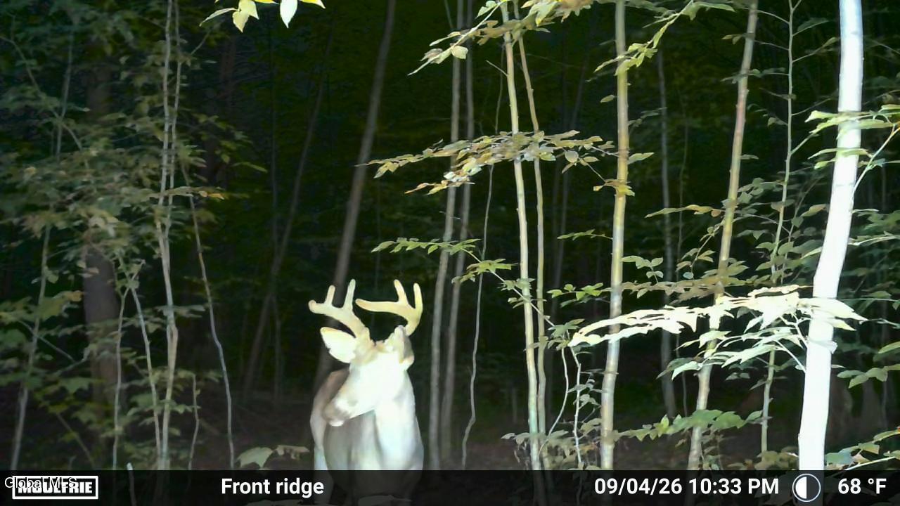 1711 County Route 27 Craryville NY 12521