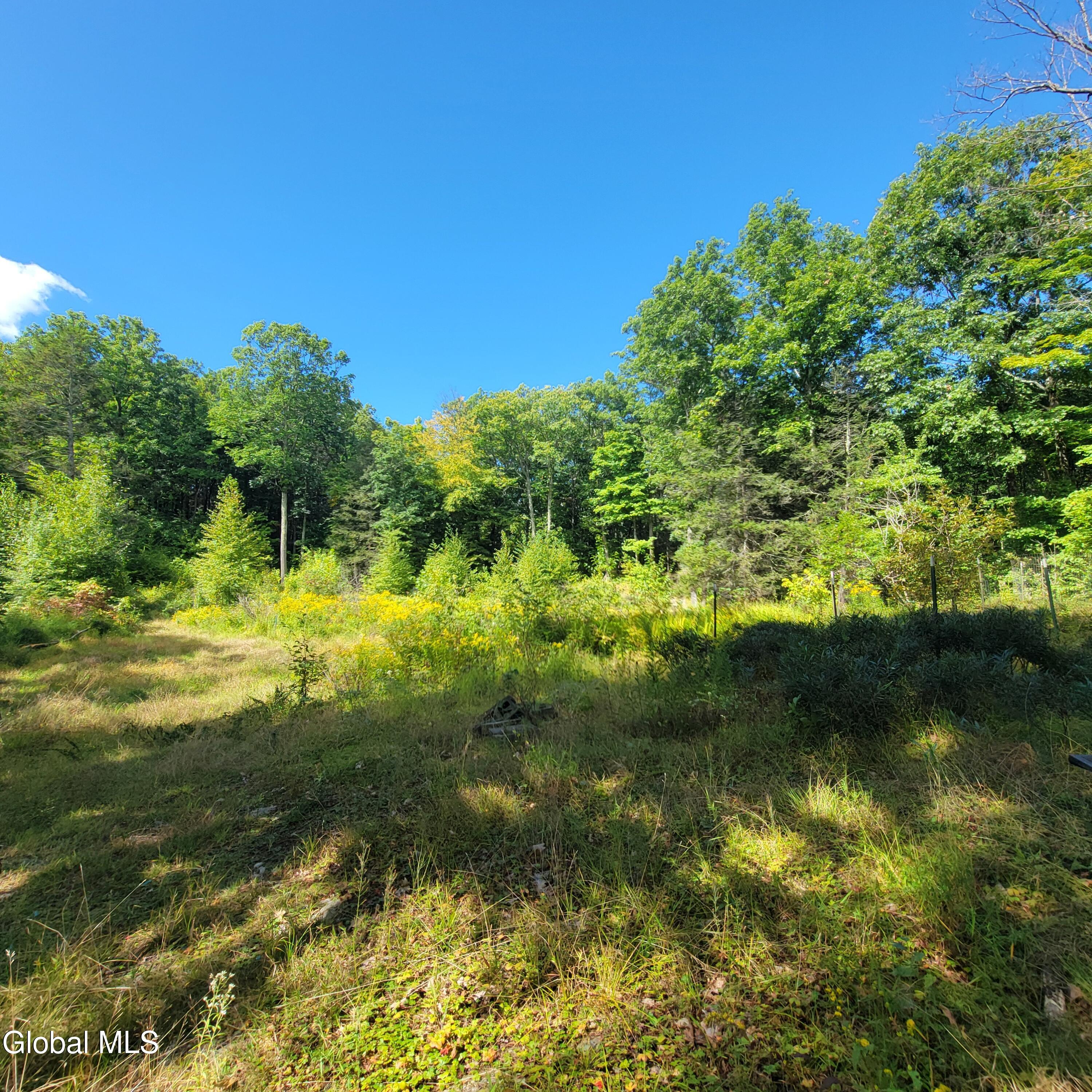 1711 County Route 27 Craryville NY 12521